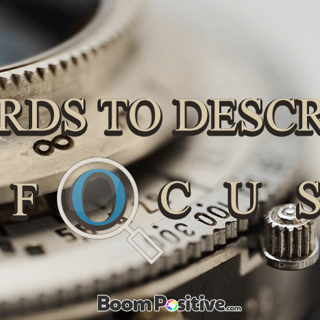 focus synonym