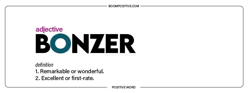 bonzer definition positive adjective