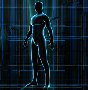 What Is Seamless Body Mapping – Brubeck