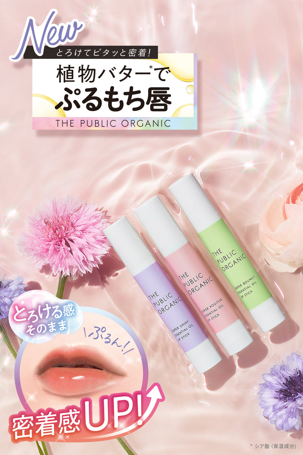 TRIPLE LIP SET - MOISTURE【RENEWAL】