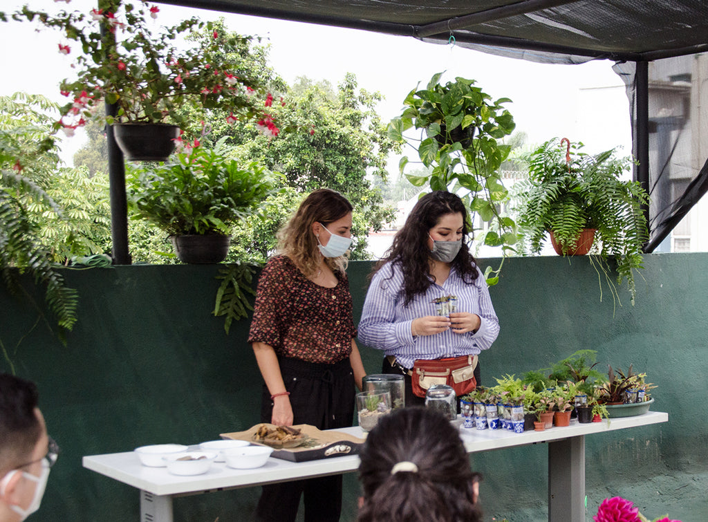 Majo horticultora y Belinda explicando sobre las plantas tropicales