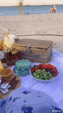 Tik Tok de un picnic