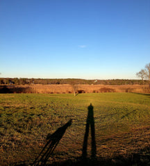 shadow of dog and man in field