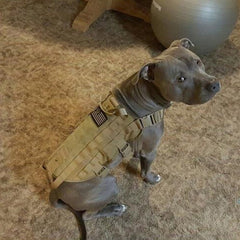 dog weight vest for pitbulls