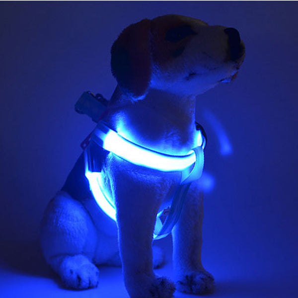 flashing dog lead