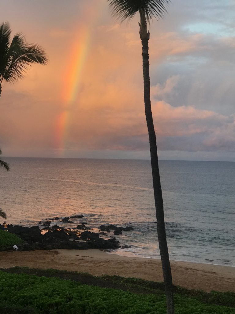All of the photo shoots for UV Skinz catalogs this year were taken on the beaches of Maui.