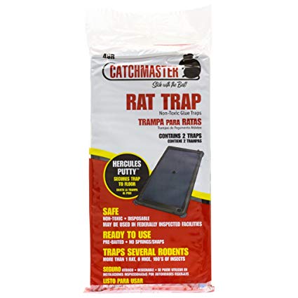 Complete Basement Pest Control Kit, w/ Glue Boards and Glue Trays