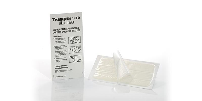 Trapper 24/7 IQ Multi-Catch, mouse trap, Attractant trap