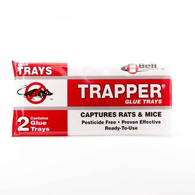 Trapper T Rex Rat Traps(1 Case-12 traps)