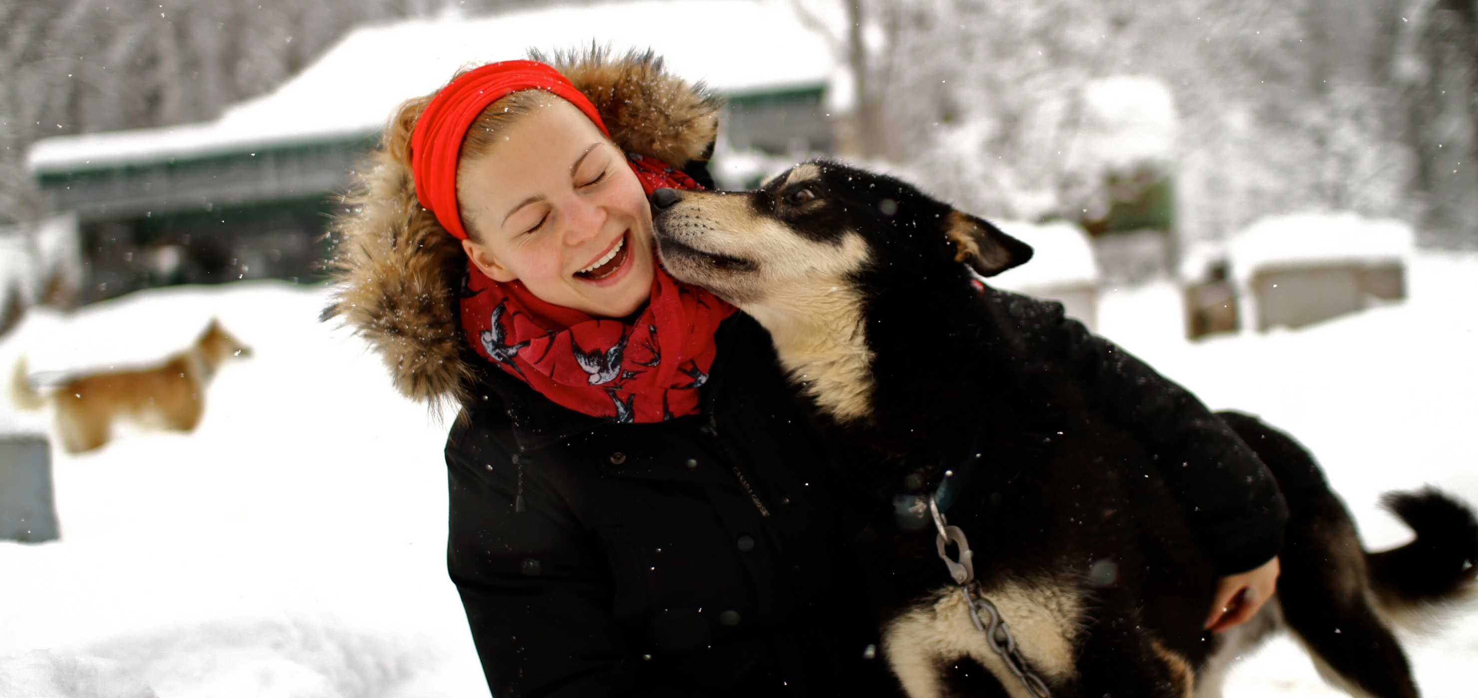 how can i keep my dog in the snow