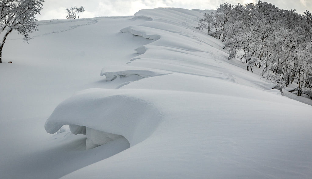 Neige d'hiver au Japon