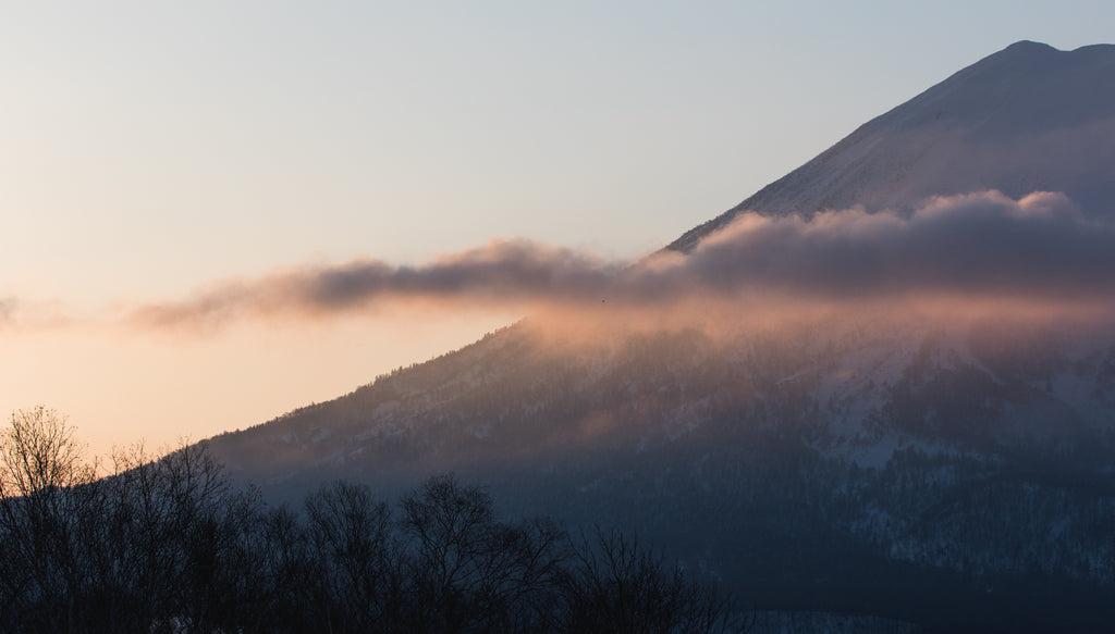 Japón de montaña invernal de niebla