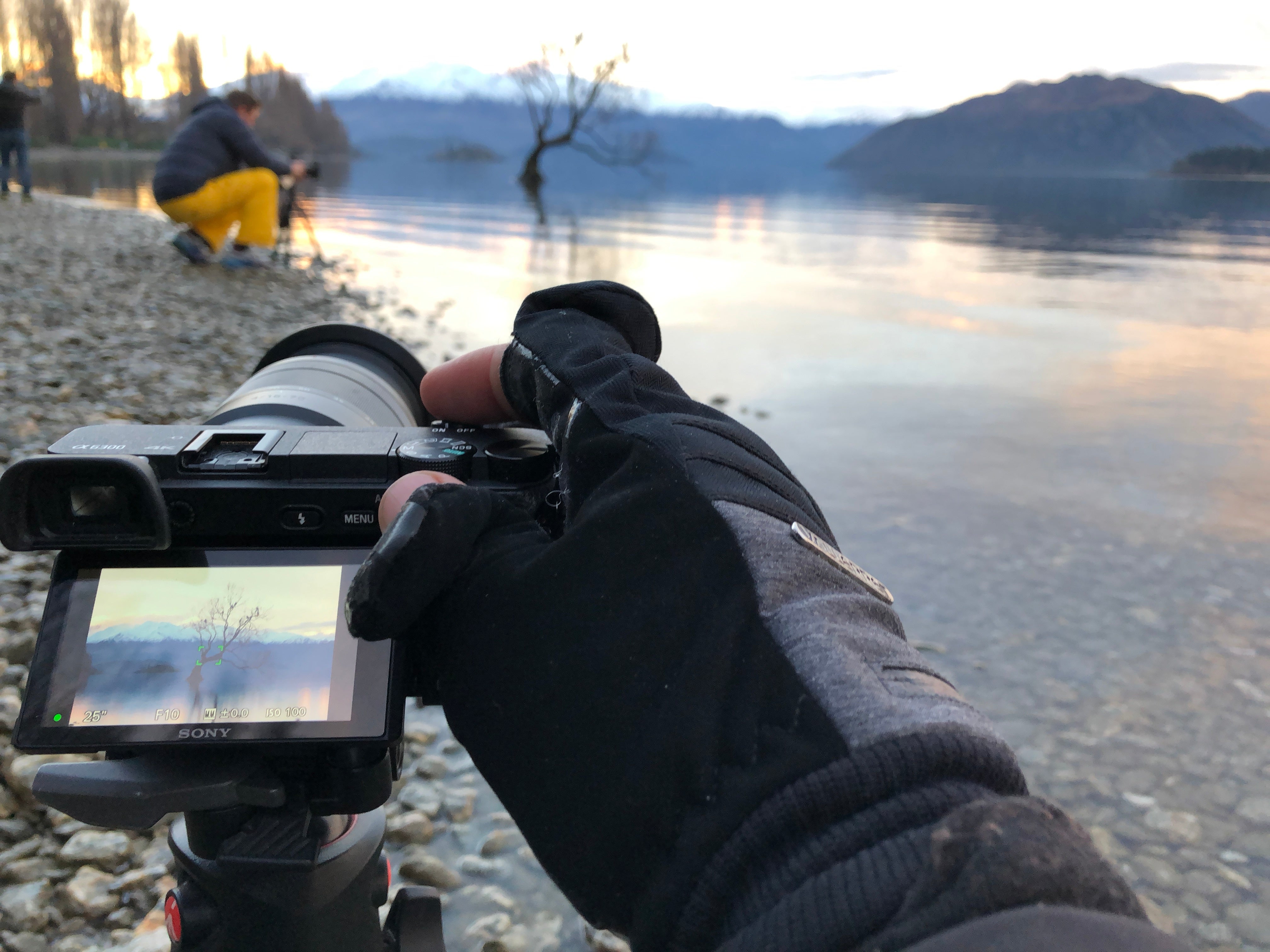 Kamera an diesem Wanaka -Baum