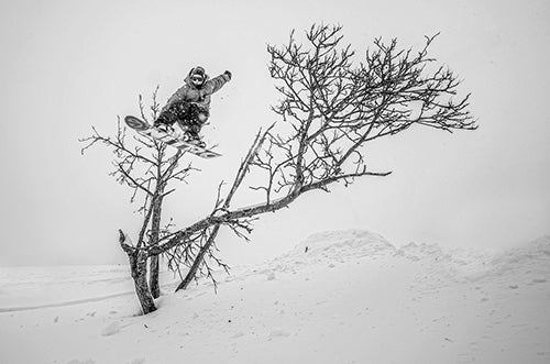 Snowboarder saltando sobre el árbol