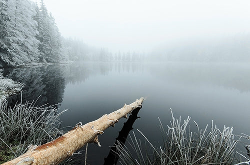 Lago nevoso nebbioso