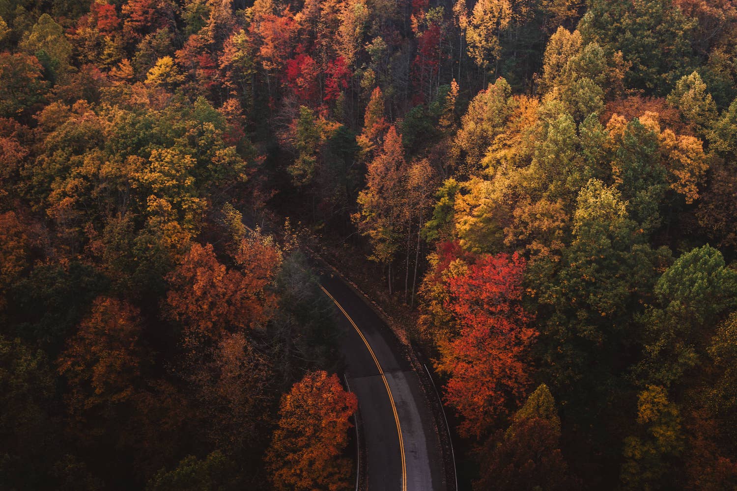 Herbstfarben mit einer Straße Chad-Madden-