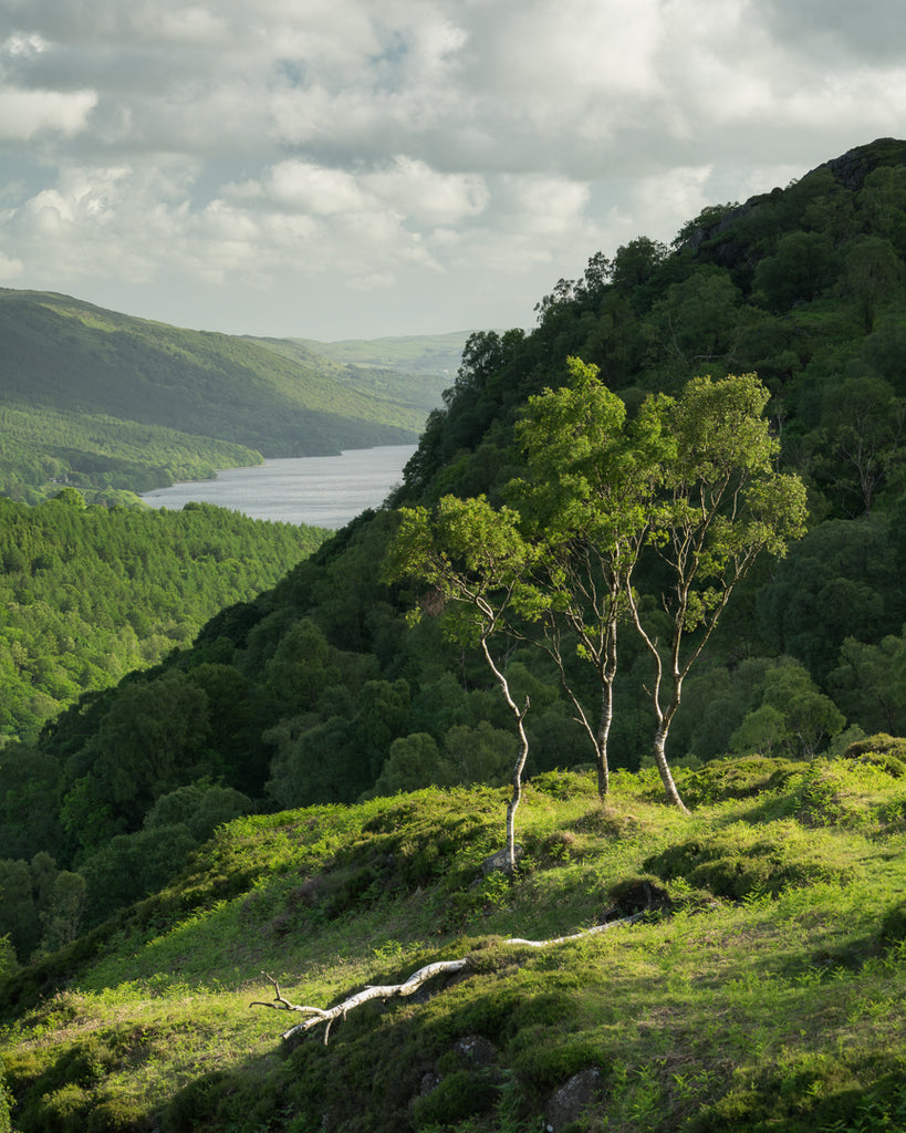 Grassy Hill im Lake District 