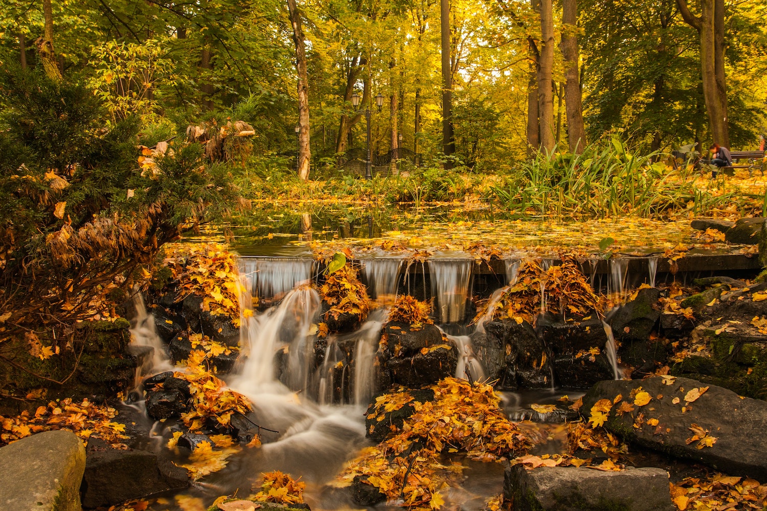 Herbstfarben mit einem Strom Dawid Zawiła 