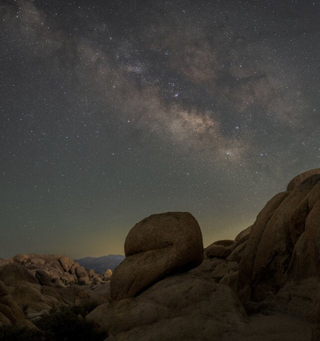 Joshua Tree