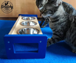 Cat Feeder Shelves Items Scratchy Things