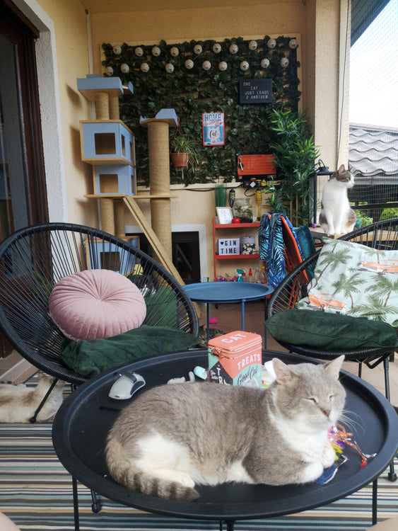 Cat Enjoying Balcony Outdoor Furniture Catio Tower