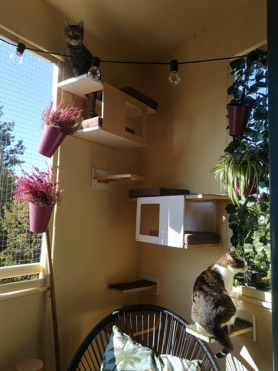 Cats Enjoying Balcony Outdoor Furniture Catio Corner Shelves