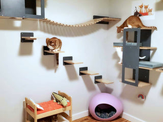 Cat Stairs Accessibility shelves Scratchy Things