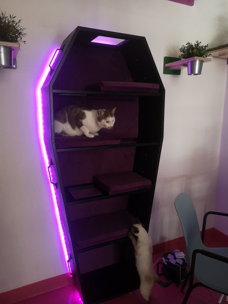 Making of a Custom Coffin Cat Climber shelf stacker bed tree tower