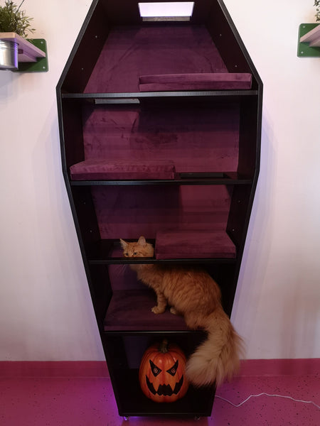 Making of a Custom Coffin Cat Climber shelf stacker bed tree tower