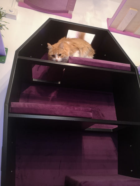 Making of a Custom Coffin Cat Climber shelf stacker bed tree tower