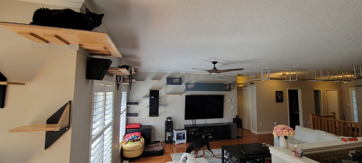 Custom Full House Catification Project - Complete Setup Customer Photos