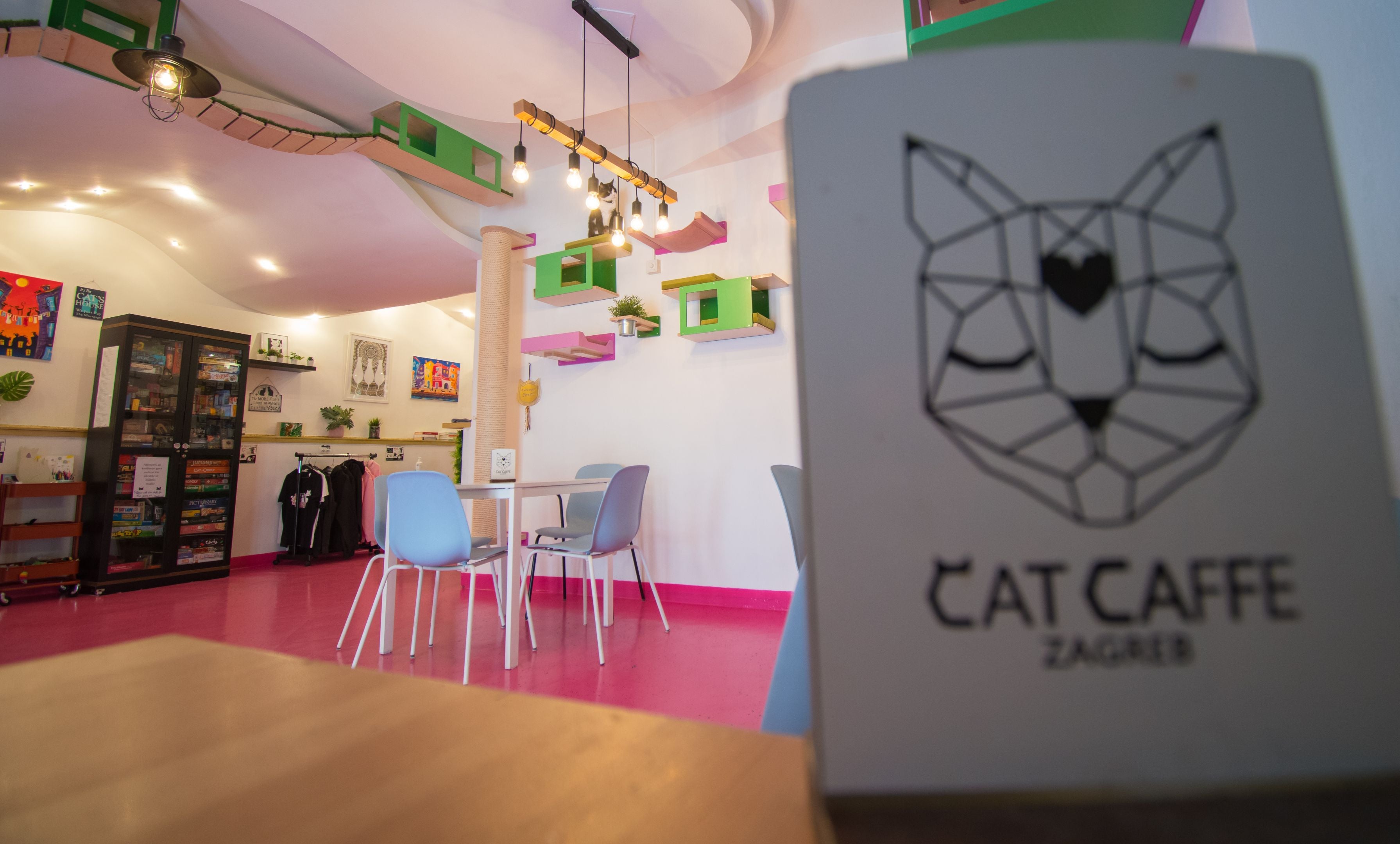 Scratchy Things Cat Cafe Custom Cat Room Project