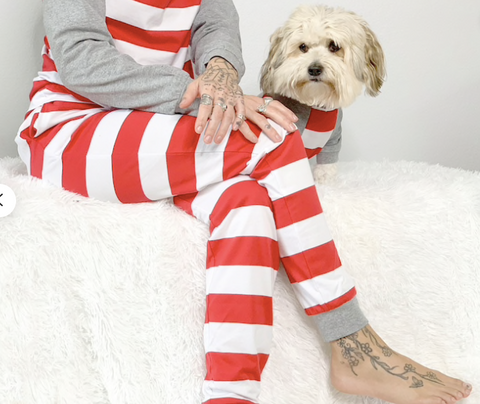 10 Christmas Pajamas Your Dog Needs This Year christmas plusg dog toys patchwork pet dog blog christmas striped dog pajamas