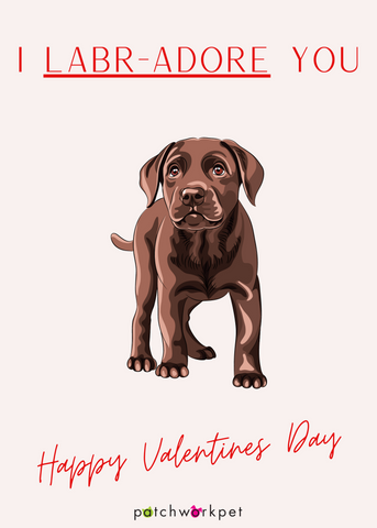 I labradore you valentines day card