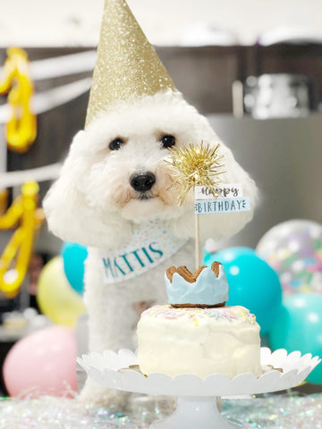 5 Examples of a DIY Dogs Birthday Party Mad pup life patchwork pet dog blog bobby and bambis dog bakery dog birthday cake