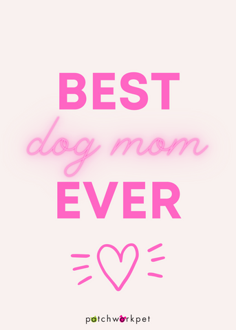 best dog mom ever valentines day card