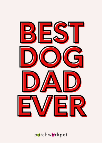 best dog dad ever valentines day card