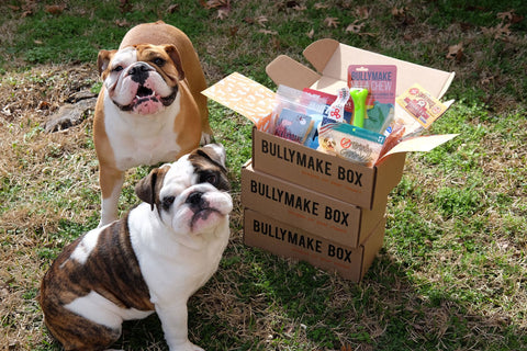 1 Month Subscription - Bullymake Box - A Dog Subscription Box For