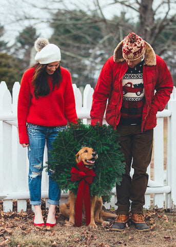 Dog Christmas Card Ideas For Holiday Photos | Patchwork Pet Dog Blog ...