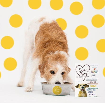 Fresh dog food delivery service NYC evermore dog food patchwork pet dog blog 