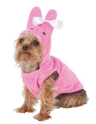 The Sweetest Easter and Spring Gift Guide for Dogs – PatchworkPet