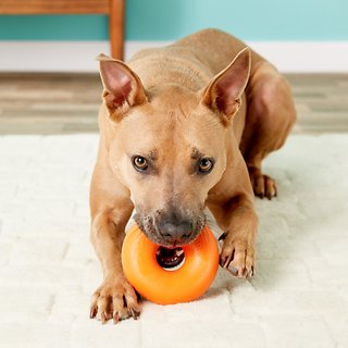 Dog Puzzle Teething Toys Ball for Medium Large Dogs - Nontoxic Durable Dog  IQ Ch