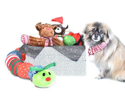Holiday Gift Guide for Dogs  Patchwork Pet Holiday dog toy giftbox  Patchwork Pet dog blog
