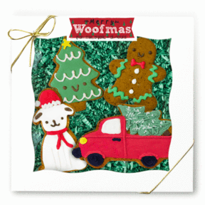 Holiday Gift Guide for Dogs Bobby and Bambi Holiday Dog Cookies Patchwork Pet dog blog