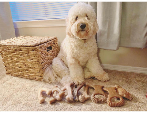 Here are the 5 best chew toys for Goldendoodle puppy August 31, 2022