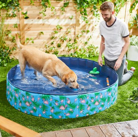 flamingo print dog pool