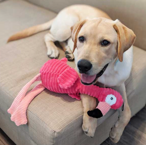 flamingo dog toy