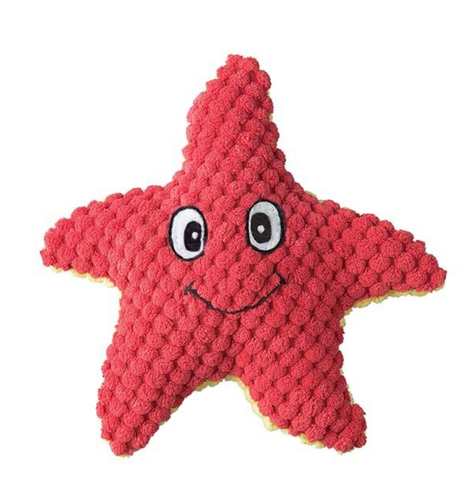starfish dog toy