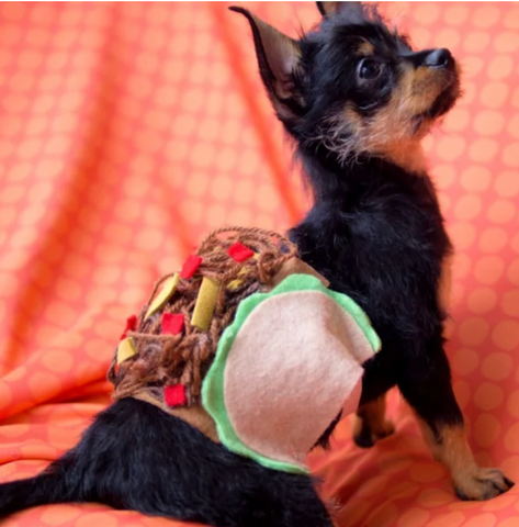 taco halloween costume for dogs