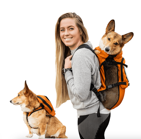 10 Cute Harness & Hiking Accessories For Your Dog – PatchworkPet